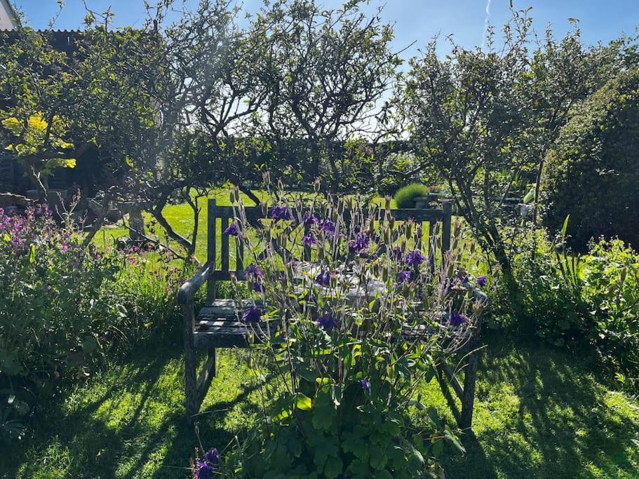 Byre - Farm Cottage On 9 Acre Equestrian Small Holding Salisbury Exterior foto